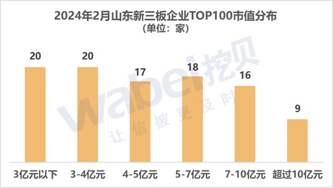 2024年2月山东新三板企业市值TOP1