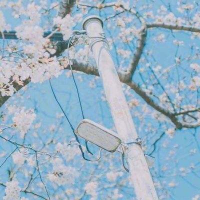 amjs澳金沙门 v156官方版(图3) amjs澳金沙门 v156官方版(图3)