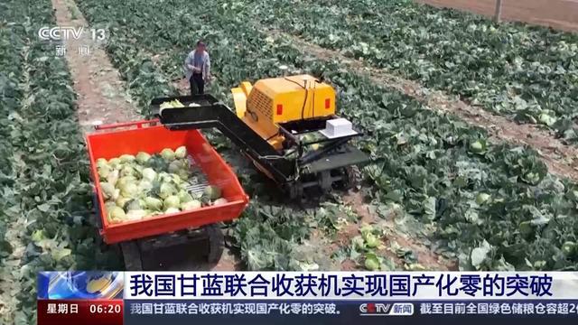 “中国制造”+1我国甘蓝联合收获机实现国