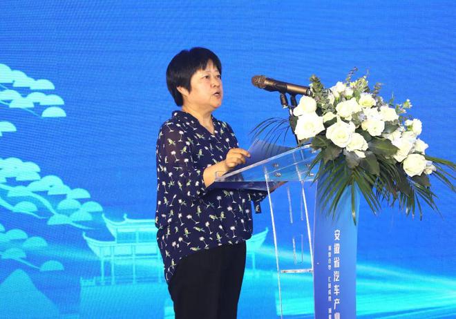 2024安徽省汽车产业整零对接黄山行活动隆重举办(图4)