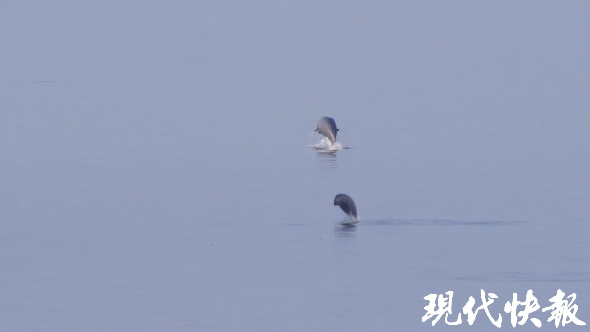 沿着的足迹看全面深化改革开放的江苏实践(图19) 沿着的足迹看全面深化改革开放的江苏实践(图19)
