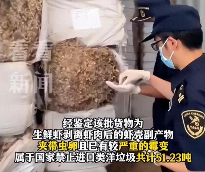 51吨洋垃圾悄悄运往中国！腥臭味扑鼻还有