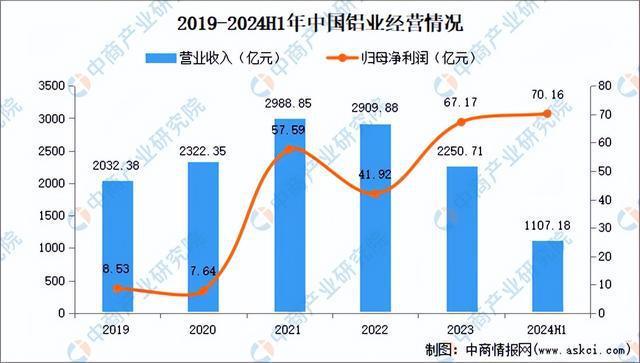2024年中国有色金属行业市场前景预测研究（简版）(图11)