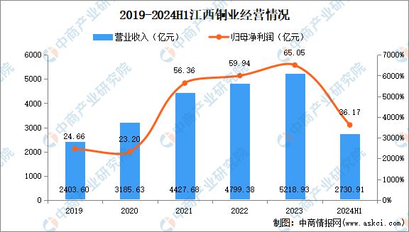 2024年中国有色金属行业市场前景预测研究（简版）(图13)