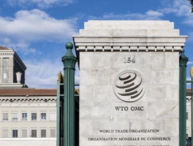 中国反制奏效了？镓金属走私被抓美国急缺中国储量是其34倍(图19)
