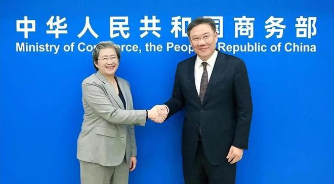 她是美科学院院长担任美尖端芯片公司CEO却顶风为中国造芯片(图10)