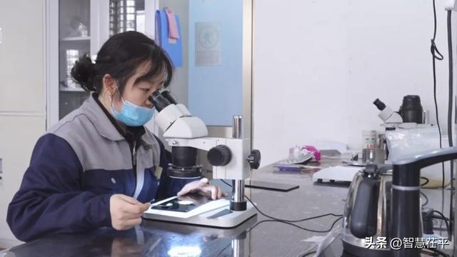 茌平：1500℃极限锻造“工业牙齿”炼就